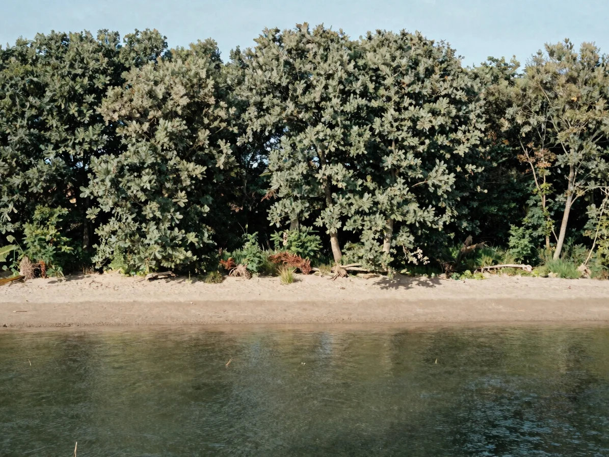 Wooded riverbank in a Morbihan valley near the tidal reach, oak and alder along the water, muted greens, soft changeable